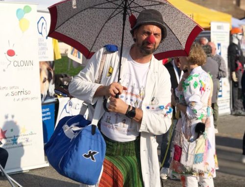 festa provinciale del vontariato e della solidarietà